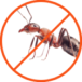 fourmis